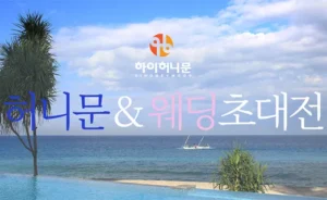 하이허니문